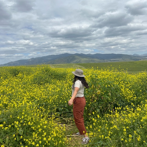 Meet your Posher, Amy - Picture 2 of 4